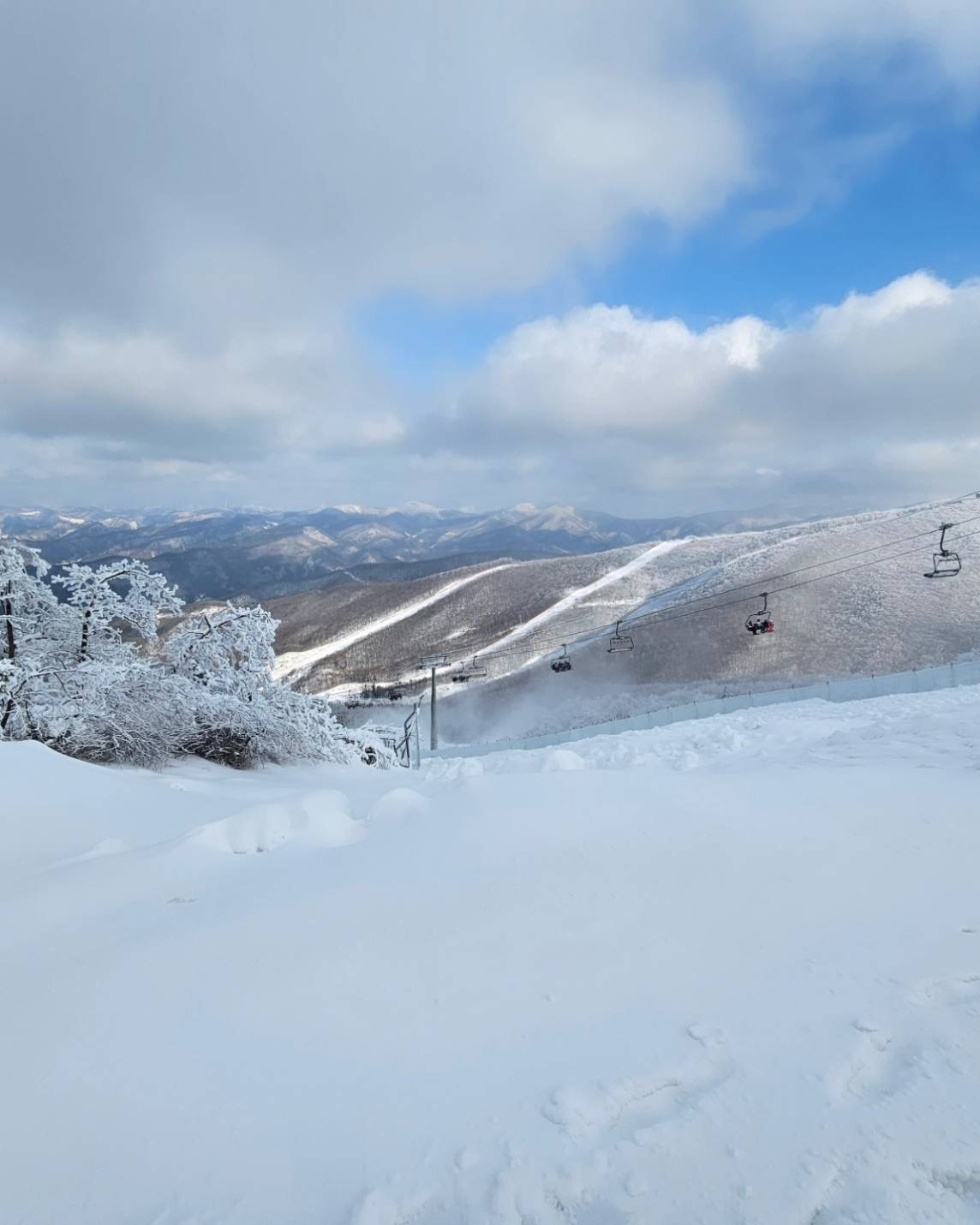 雪地上滑行中的滑雪/單板剪影