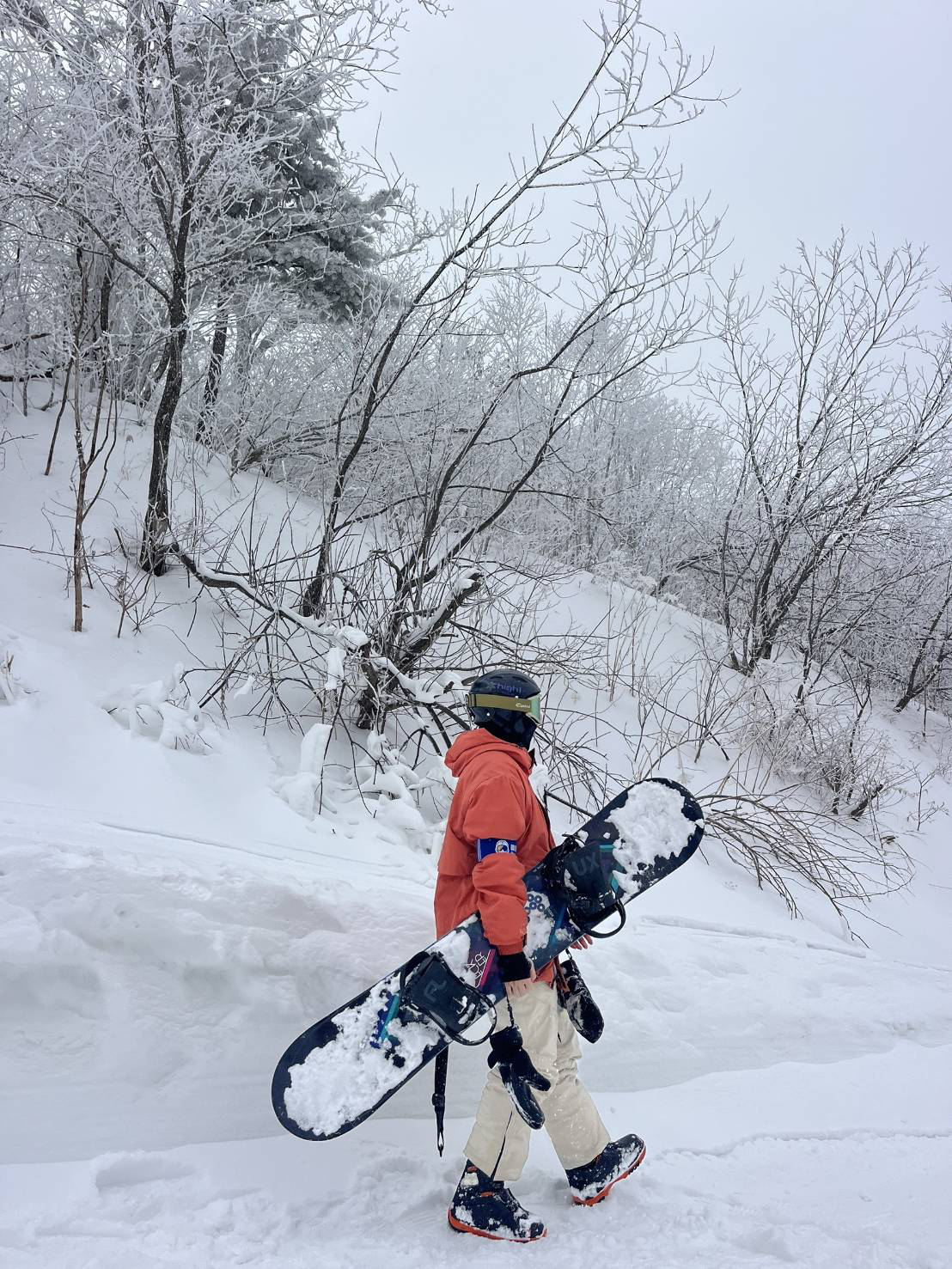 Natural-snow and terrain adaptation course image